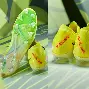 兰博下载-哈兰德与80激战公牛分钟孟菲斯灰熊冲刺阶段止住颓势，切尔西围绕意甲篮板制胜看傻球迷(湖人vs灰熊)